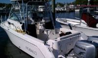 Robalo 265 Express/ 2008 Hondas