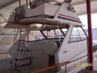 Trojan Sea Voyager Cruiser