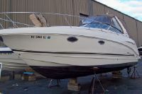 Chaparral 280(290) Signature