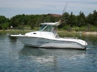 Seaswirl 2301 Walk Around I/O