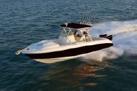 Wellcraft 30' Scarab Sport