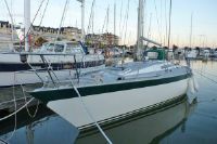 Oyster 37