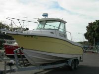 Seaswirl Striper 2601 Walkaround I/O