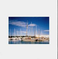 Pedro Ramos Cutter 82