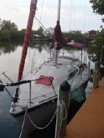 O'day 272