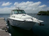 Boston Whaler Conquest 345