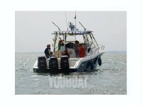 Triton Triton 351 Cc