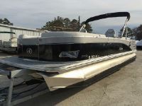 Avalon Catalina Quad Lounge - 24' Triple Toon