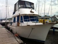 Marine Trader 34