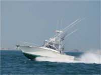 Albemarle 305 Express Diesels Loaded