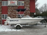 Sea Fox Dual Console