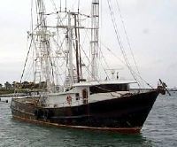 Master Marine Trawler