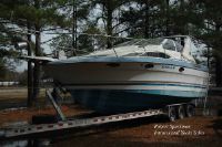 Bayliner Avanti 2955