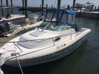 Pro Line Walk Around