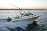 Everglades Boats 350 Ex