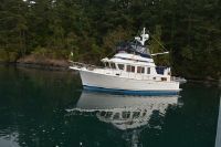 Selene Ocean Trawler 36