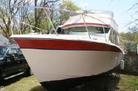 Bayliner 33 Uniflight