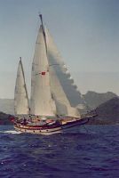 Cape Yachts Cape Cauvin