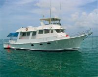 Morgan Trawler
