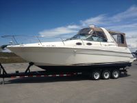 Sea Ray Sundancer 290 Sundancer