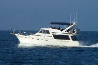 Bayliner 3 Cabin Pilothouse 4588