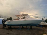 Intrepid 339 Walk Around