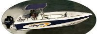 Baja 280 Sportfish Outboard