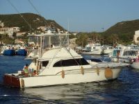 Buddy Davis 47 Sportfisherman