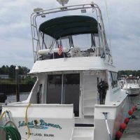 Mainship 35' Convertible