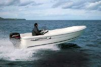 Quicksilver 500 Fish