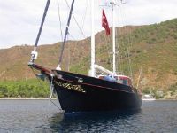 22 M Laminated Sailing