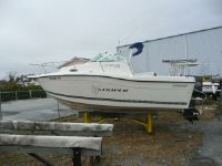 Sea Swirl 2100 Striper