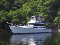 Bayliner Explorer  3870