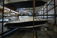 Seaswirl Striper 2301 Walkaround I/O