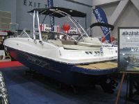 Bayliner 195Db