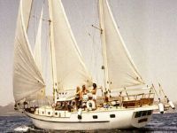 Jongert Trewes 44