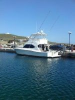 Riviera Flybridge 40