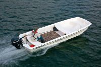 Mako Pro 17 Skiff Tiller W/ 25 Elhpt Fourstroke And Tra