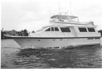 Viking 65'