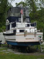 Marine Trader 34 Dc