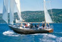 Alto Adriatico Sciarrelli N 133