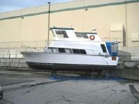 Cabin Cruiser Flybridge