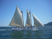 Oyster Schooner Passenger Vessel