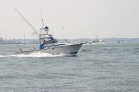 Topaz 29 Express Sportfisherman