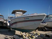 Baja 280 Sportfish