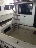 Bertram 33 Flybridge Convertible