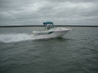 Pro Line 220 Cuddy Fish