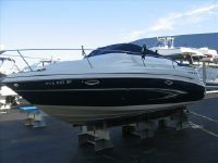 Glastron Cabin Cruisers Gs 249