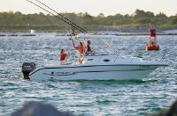 Century 2600 Walkaround "Striper Special"