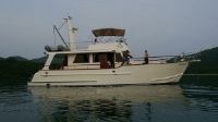 Custom Trawler 54